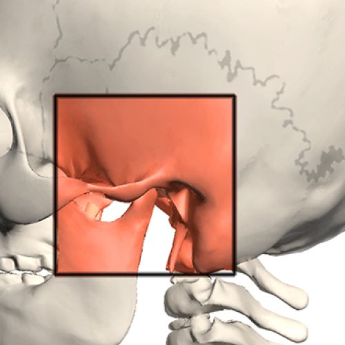 Treatment of Temporomandibular Joint Disorders